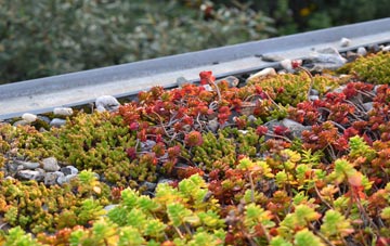 the cost of Luffincott green roof installation