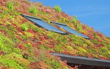 Luffincott living roof systems