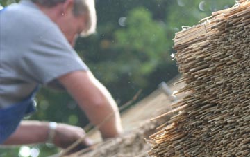 professional Luffincott thatchers