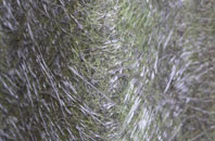 Luffincott fibreglass roof work